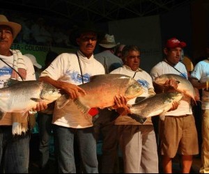 Festival Internacional de la Cachama Fuente puertogaitan meta gov co